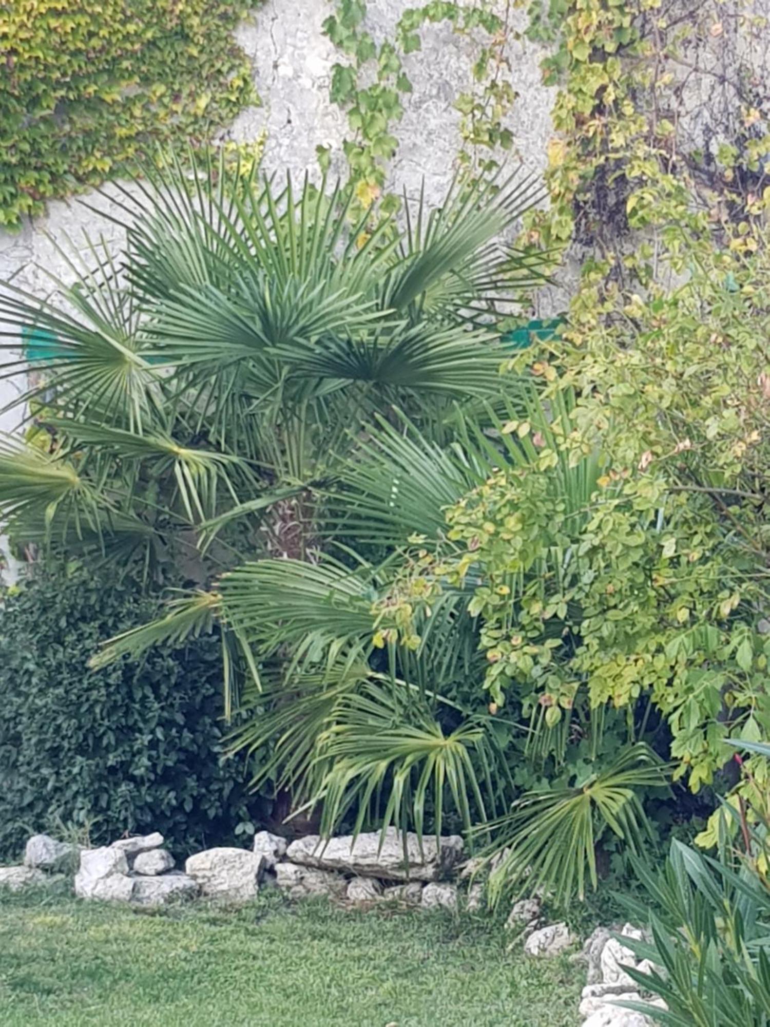 La Maison Malabar Villefranche-du-Queyran Exteriör bild